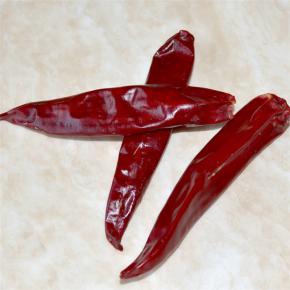 Quinta Chili