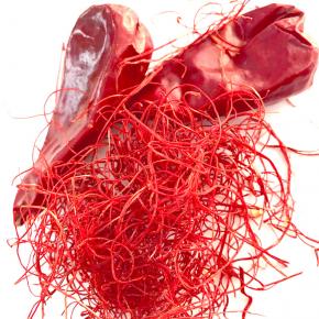 Shredded Chili