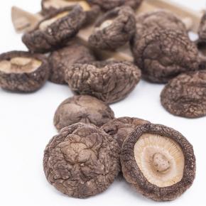 Freeze-dried Shiitake Mushroom 