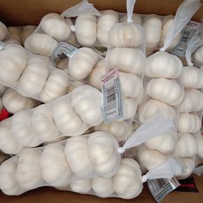 Fresh White Garlic