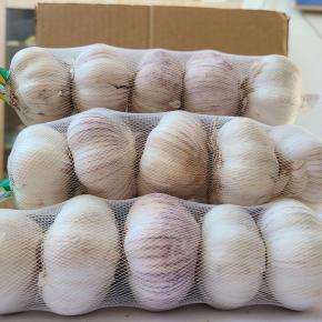 Fresh Red Garlic 