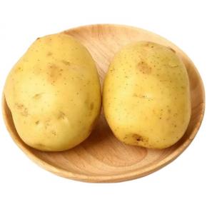 Fresh Potato