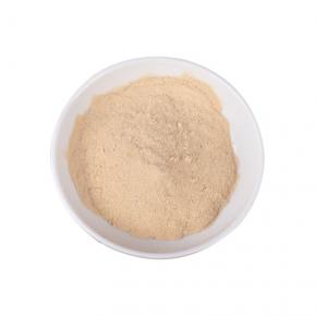 Red Onion Powder