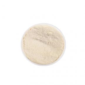 White Onion Powder